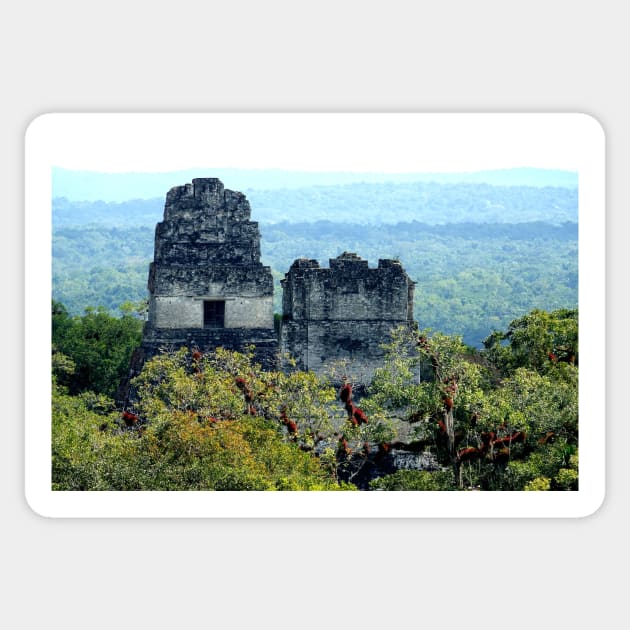 Guatemala - site archéologique de Tikal Sticker by franck380